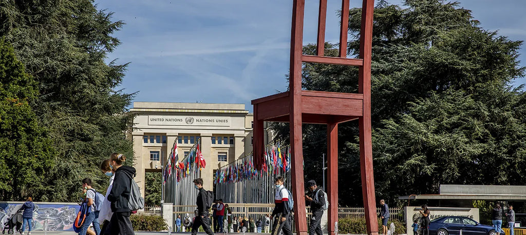 Les secrets diplomatiques et célèbres de Genève & apéritif de produits locaux