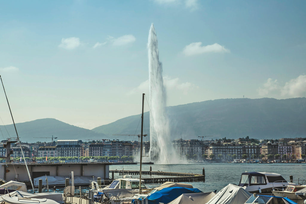 Croisière et visite de Genève